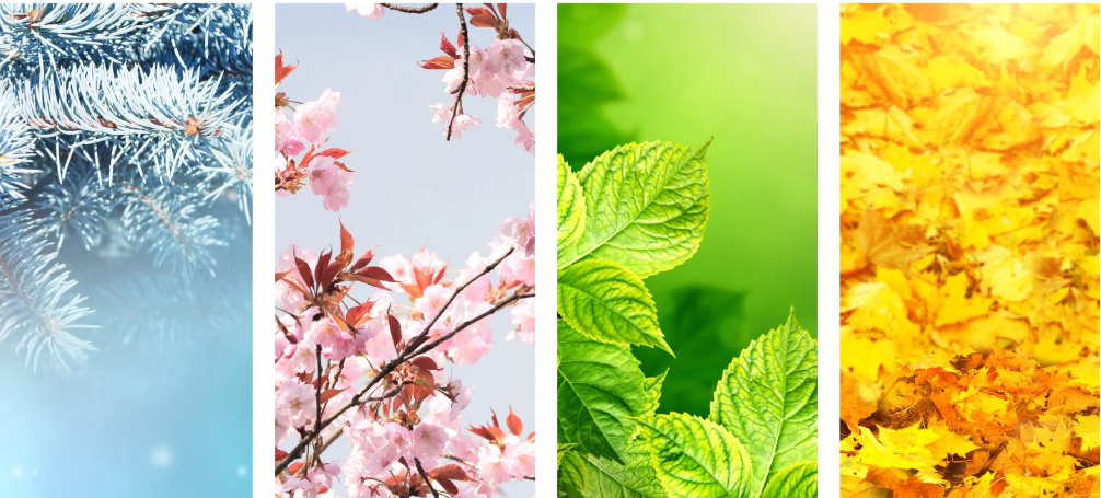 Living Well Across the Seasons: Herbal Support for Changing Climates in the UK &amp; EU