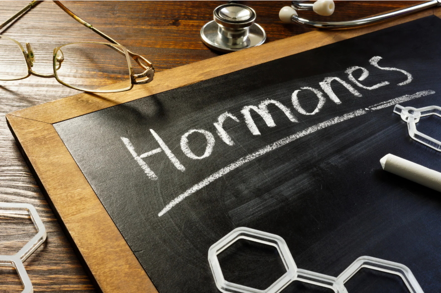 Why Digestion Is the Foundation of Hormones, Energy, and Mood: A Chinese Medicine Perspective (UK &amp; EU)