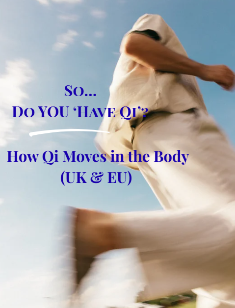 So… Do You ‘Have Qi’? Understanding How Qi Moves in the Body (UK &amp; EU)