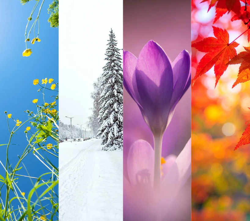 Why Your Symptoms Don’t Stay the Same All Year