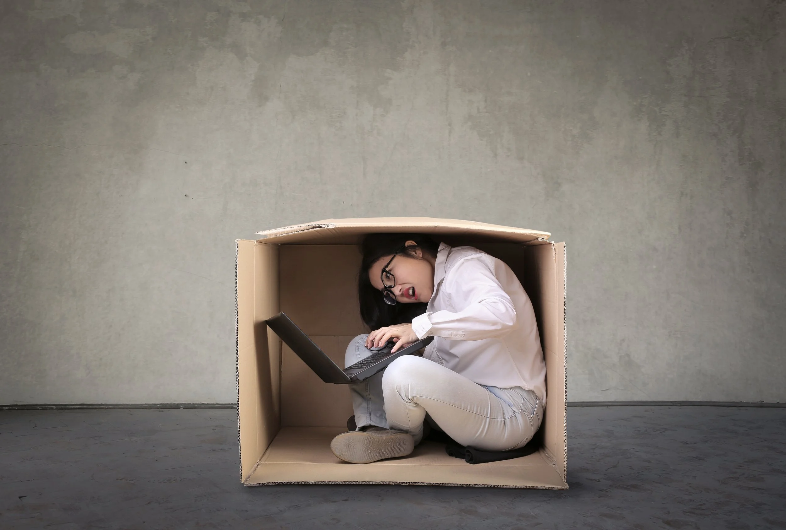 Why It’s Not Just Your Hormones (TCM Perspective UK &amp; EU)