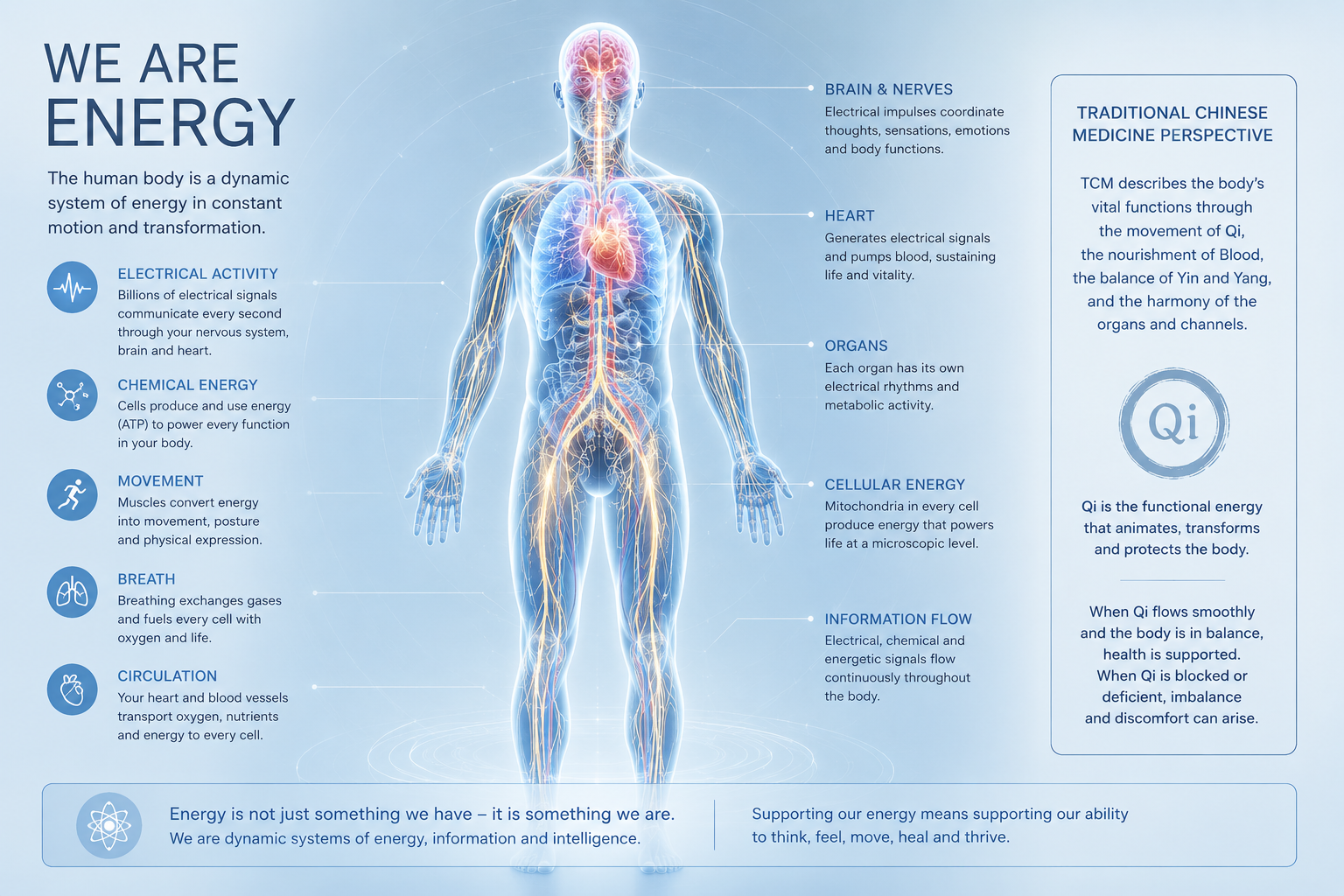 Does Qi Gong Really Do Anything? Understanding What Happens in the Body