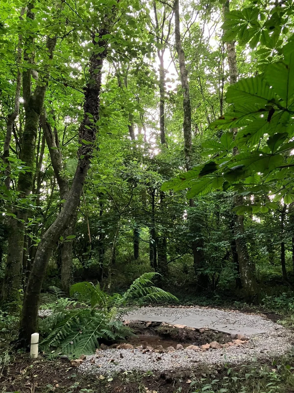 Tredower Wild Camping In Cornwall Eco Spa Luxury Retreats4.jpeg