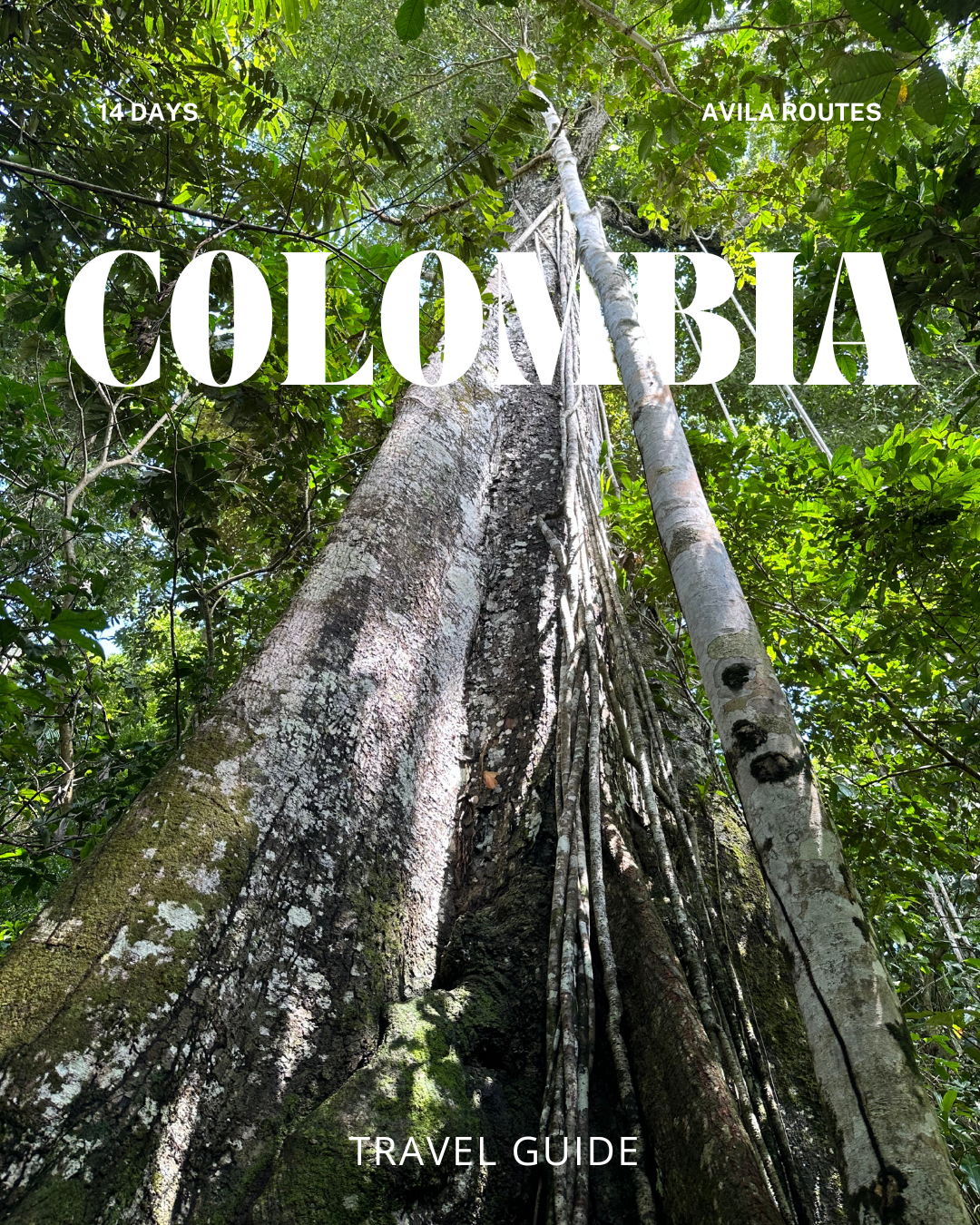 COLOMBIA & AMAZONAS | 14 DAYS TRAVEL GUIDE