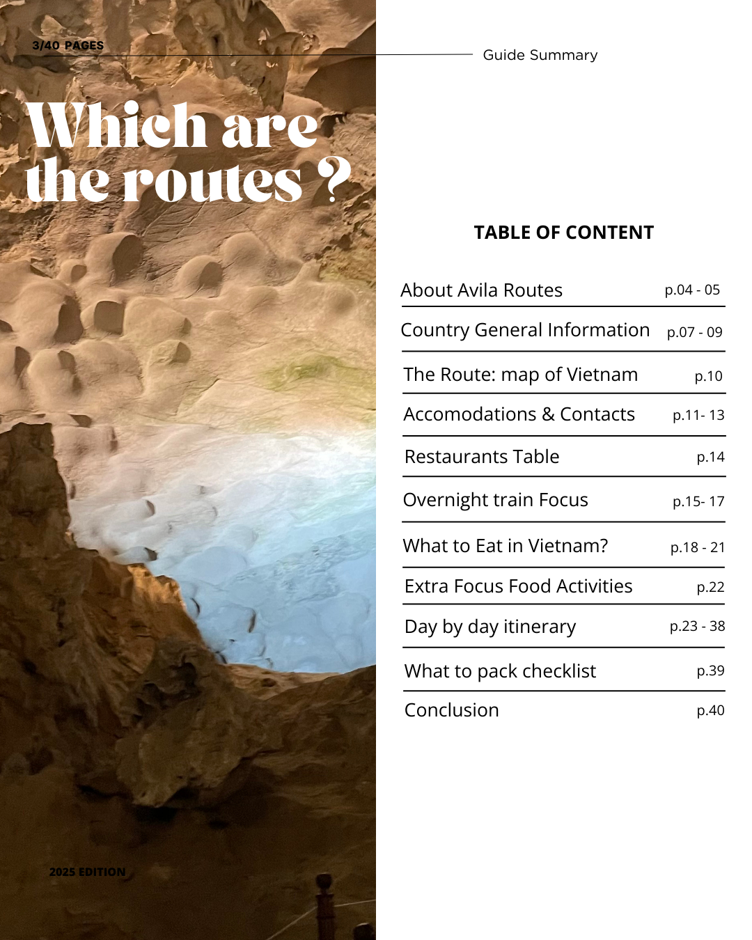 Vietnam Guide New.png