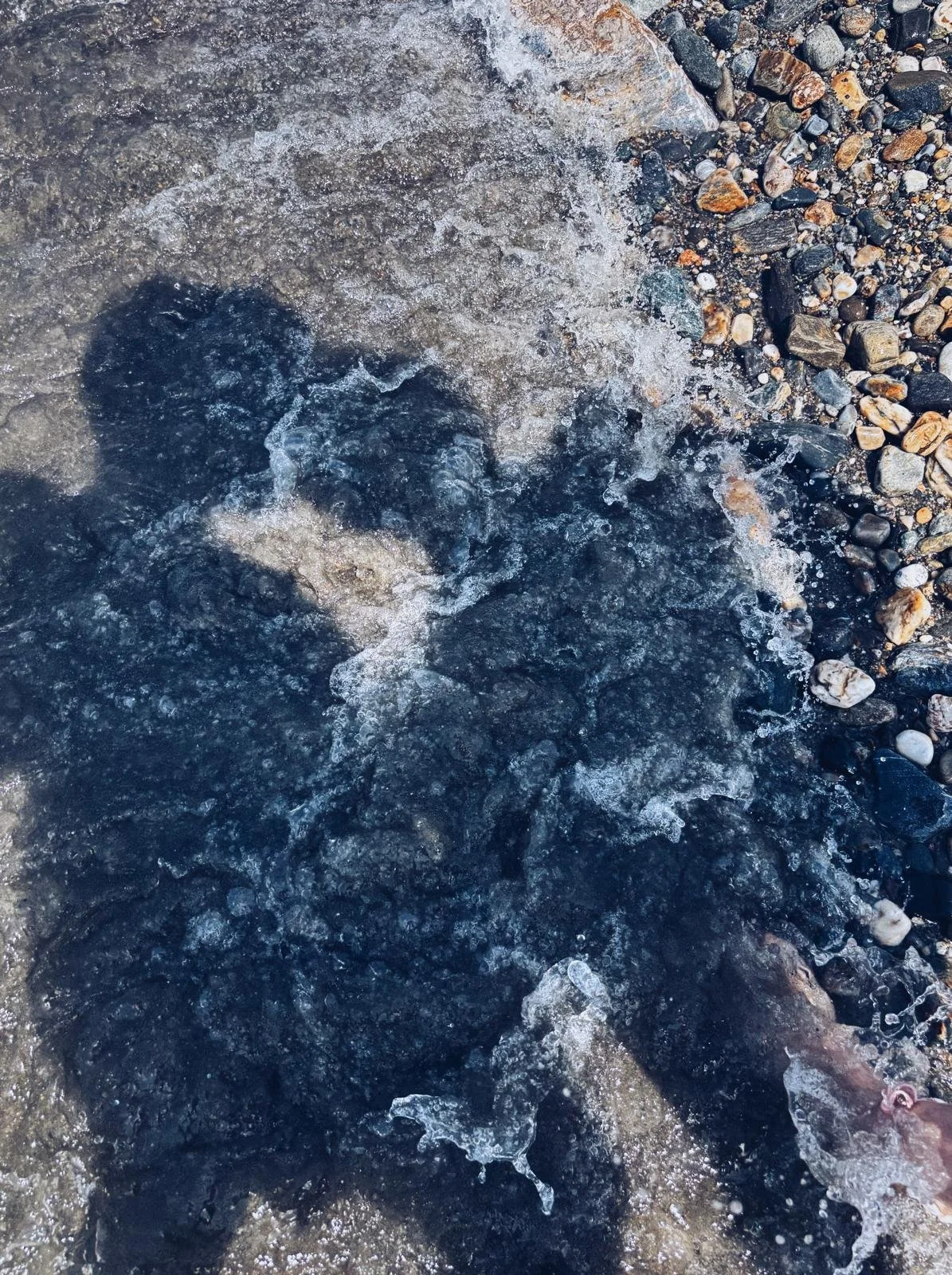 WhatsApp Image 2026-01-09 at 14.59.03 (1).jpeg