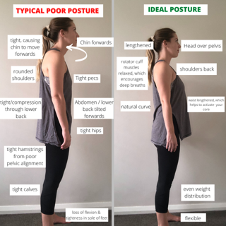 posture correction and support in mosman