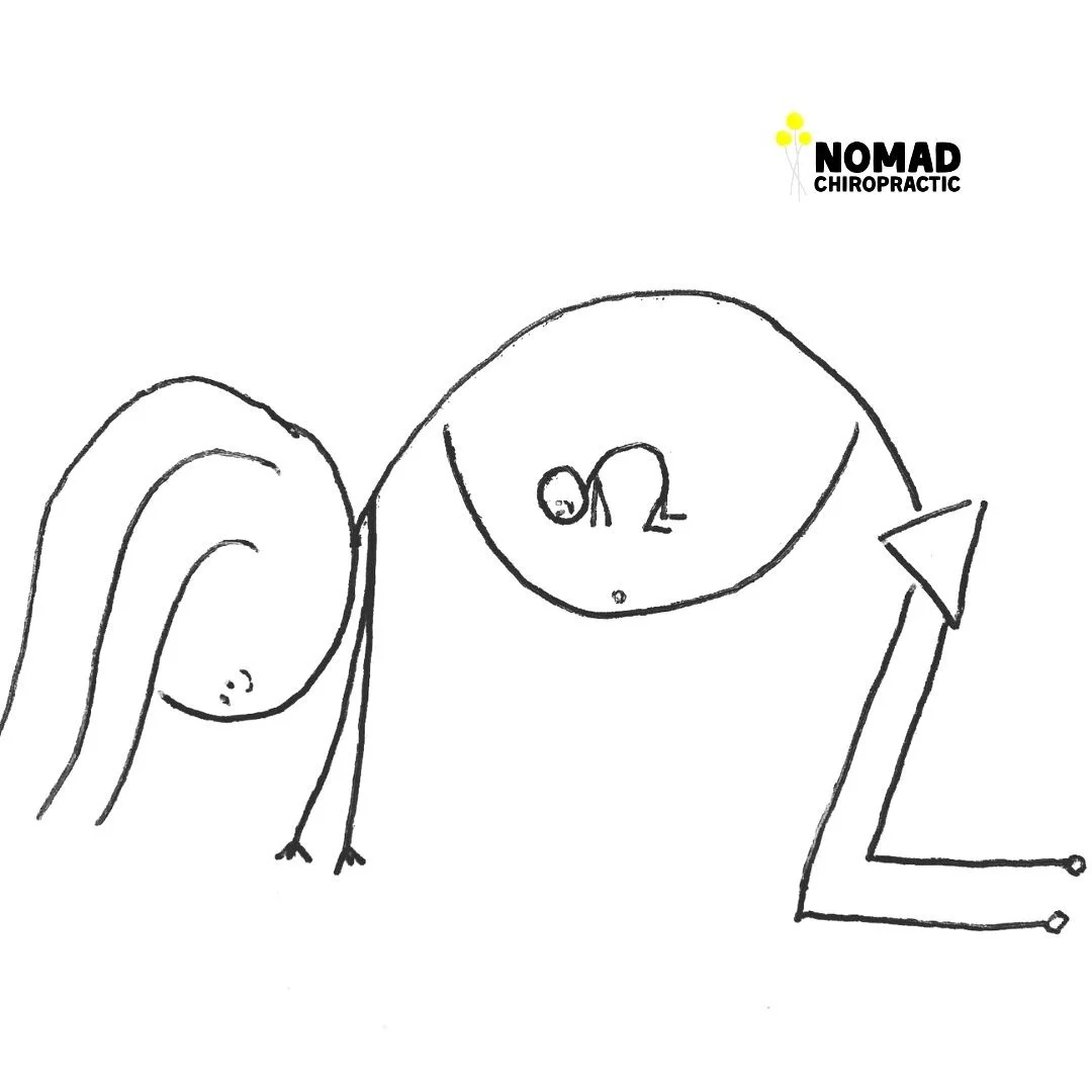 Pregnancy Chiropractic with Nomad Chiropractic