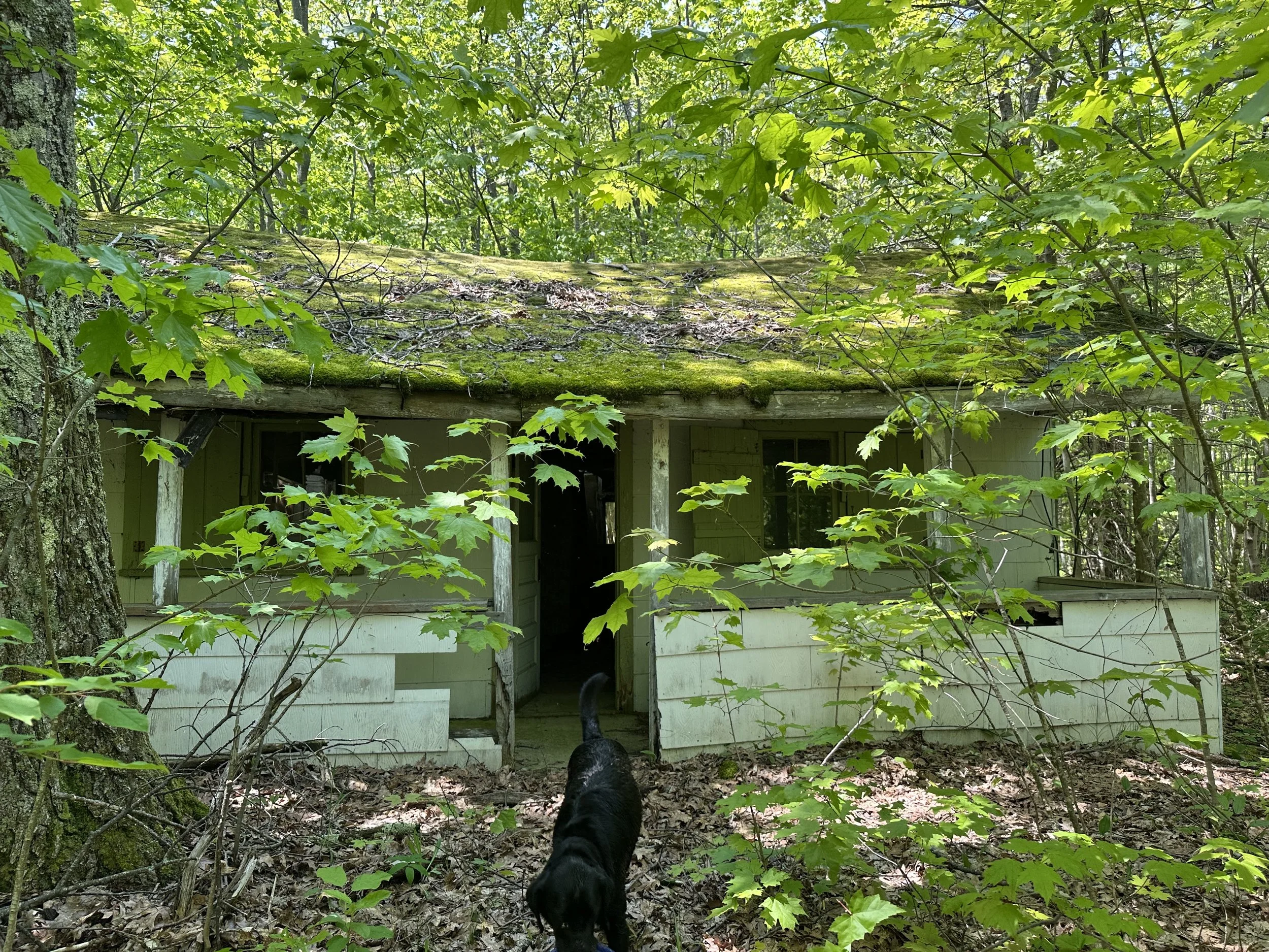 "Alpha" of the two cabins