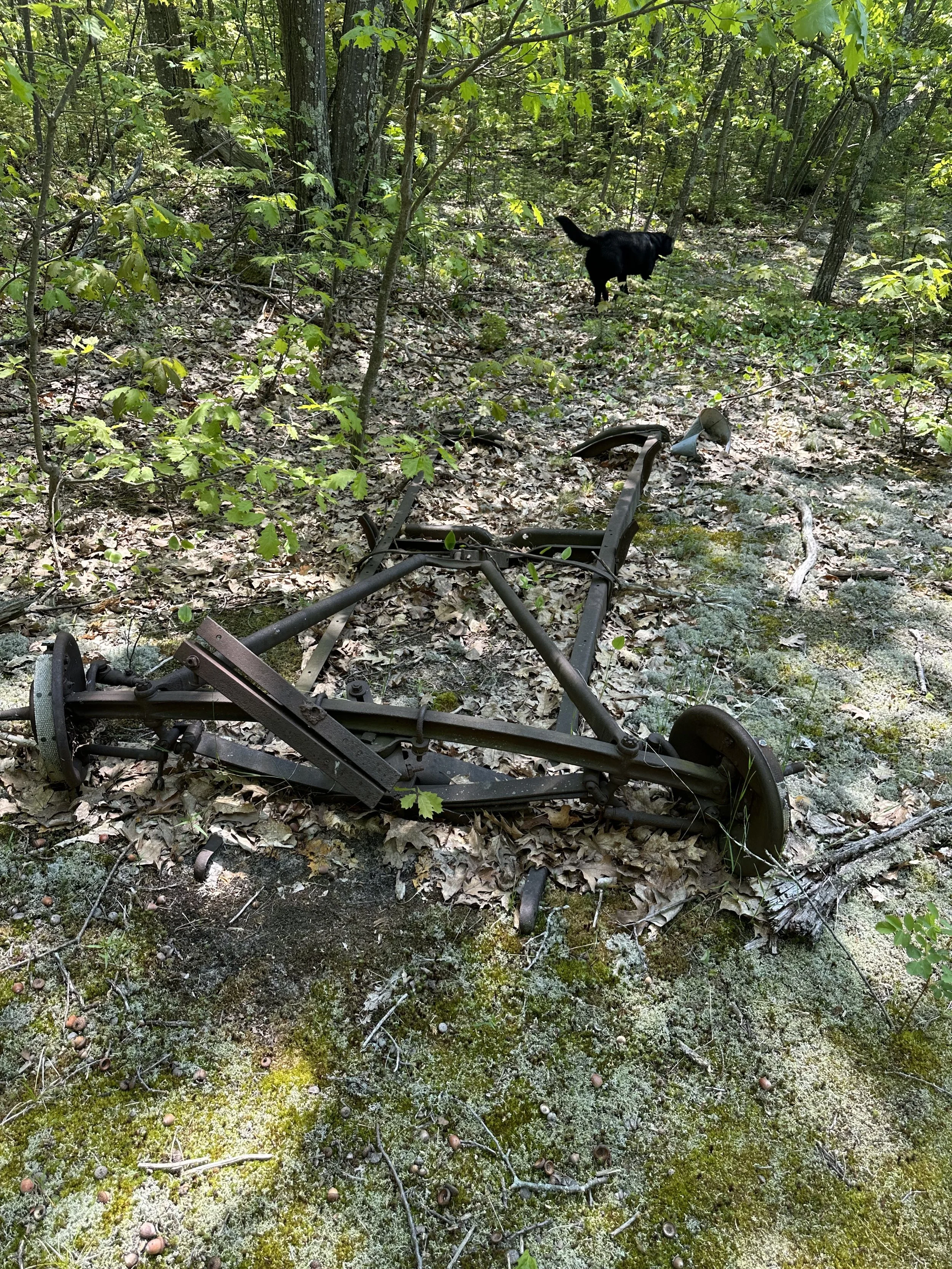 An old Model T frame