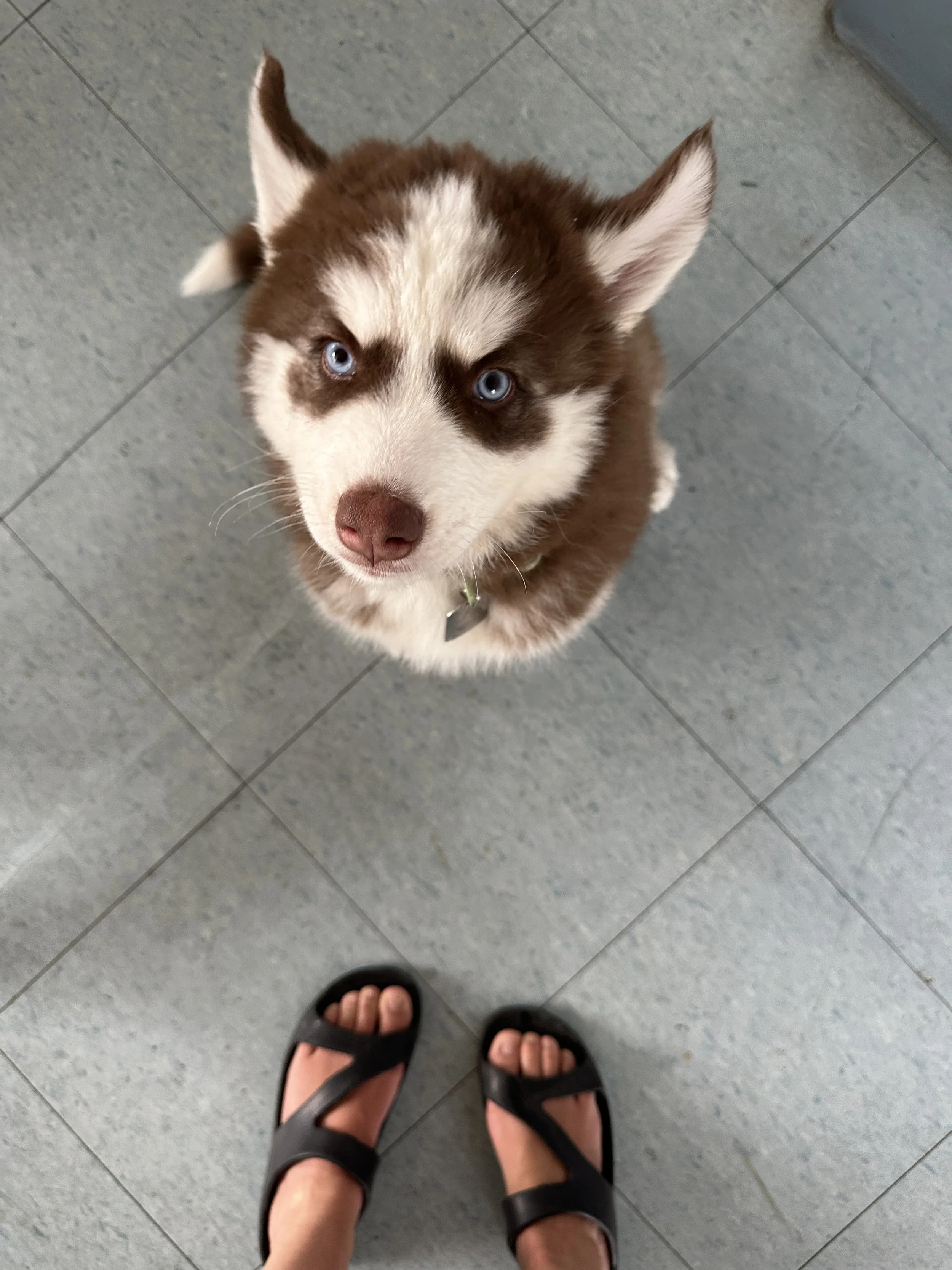Just look at that ball of fluff!