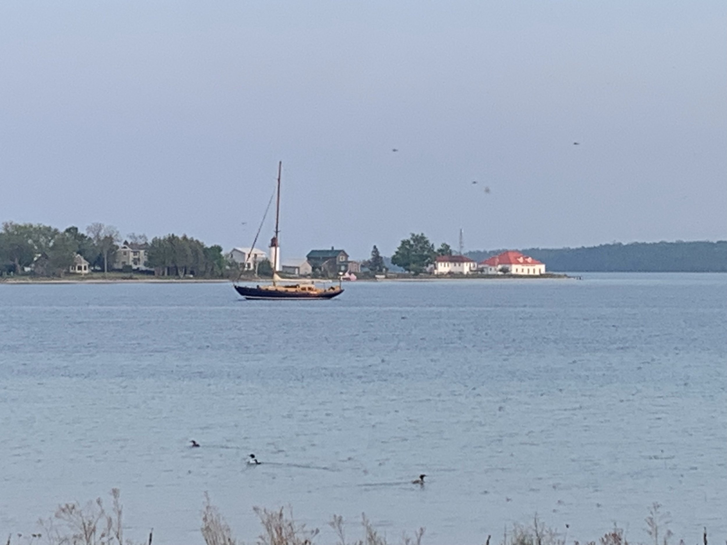 Ciara in St. James Harbor