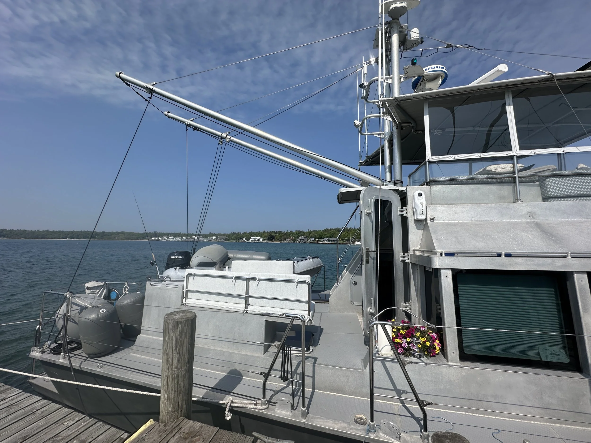Stern of Tiger