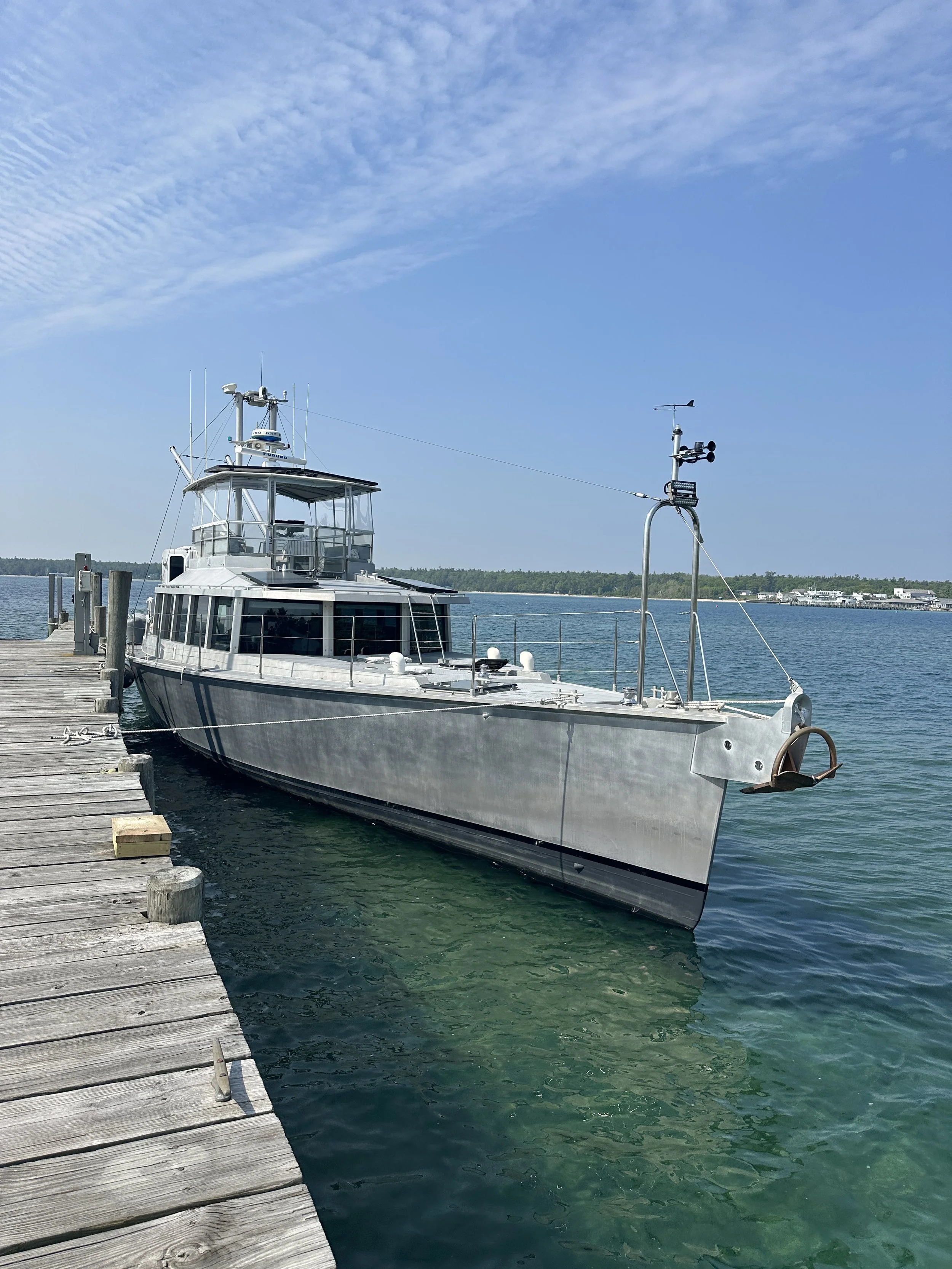 Tiger sits at the dock