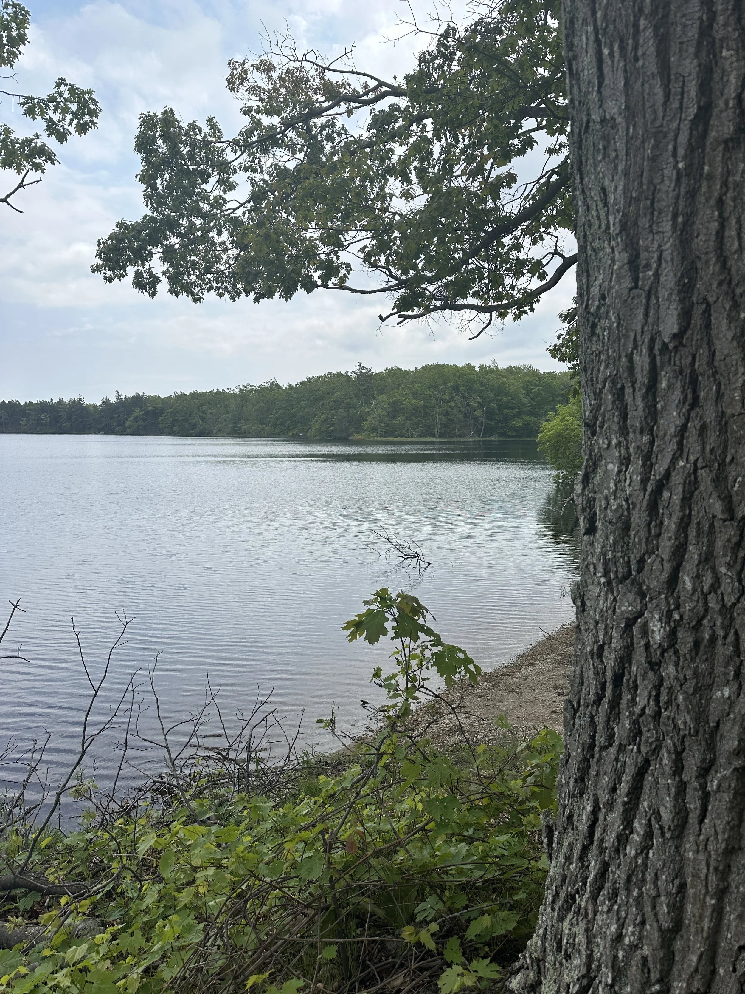 Fox Lake