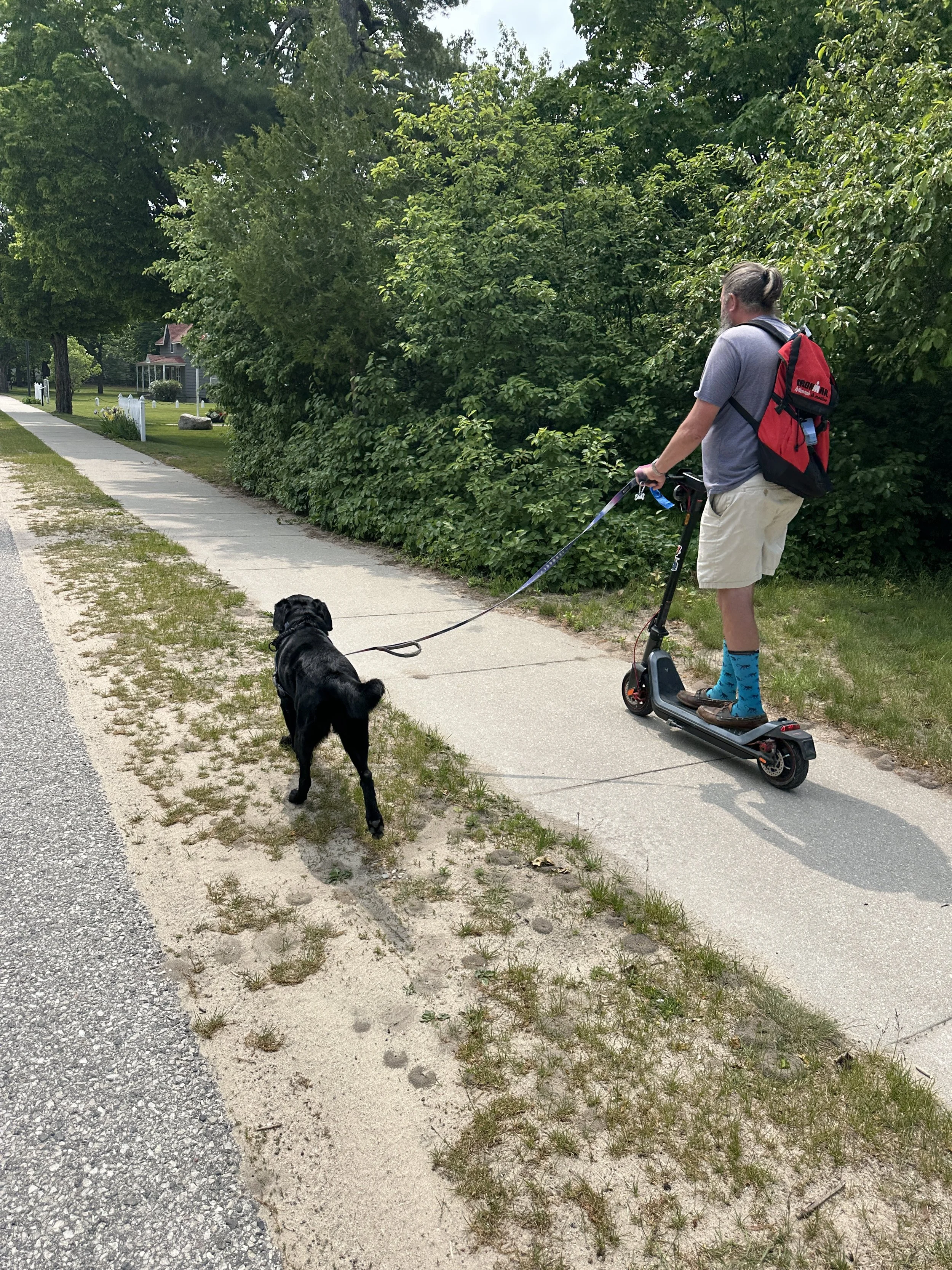 Kona getting a good run with the scooter