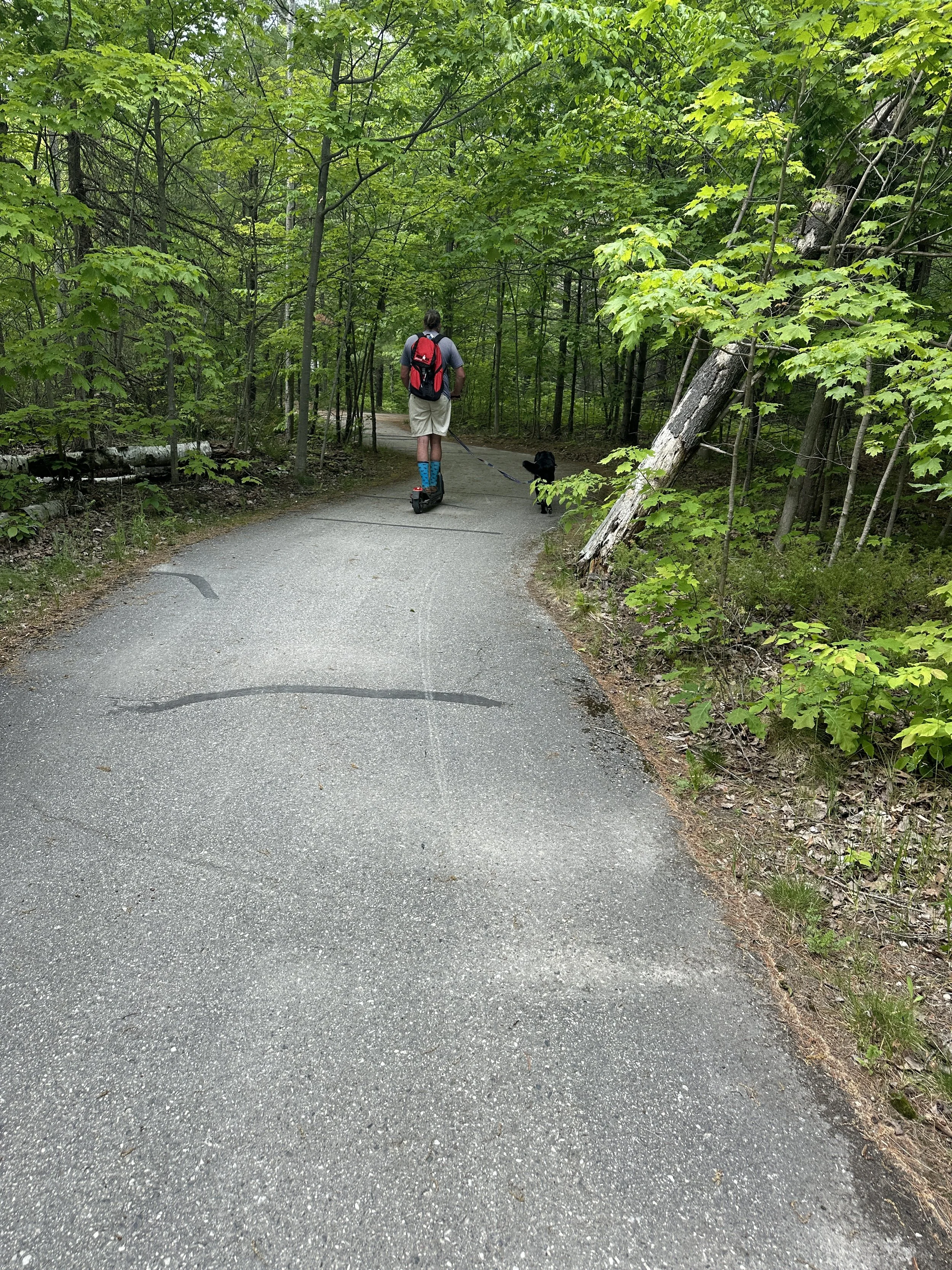 Pretty bike trail