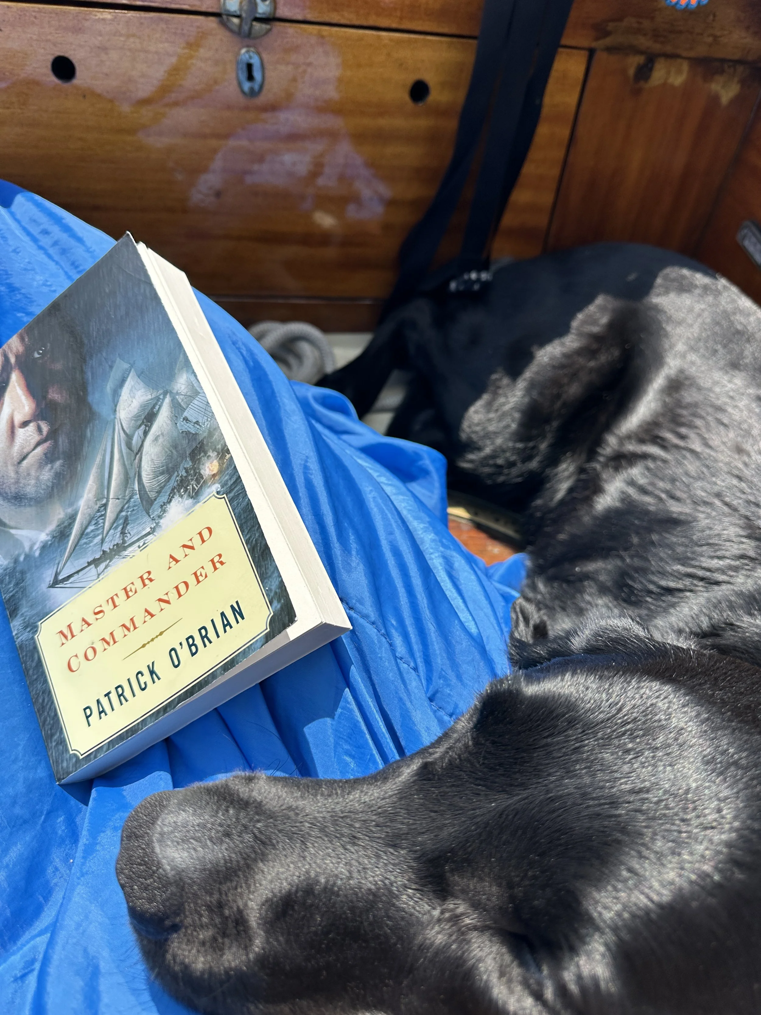 Time with Kona down in the cockpit
