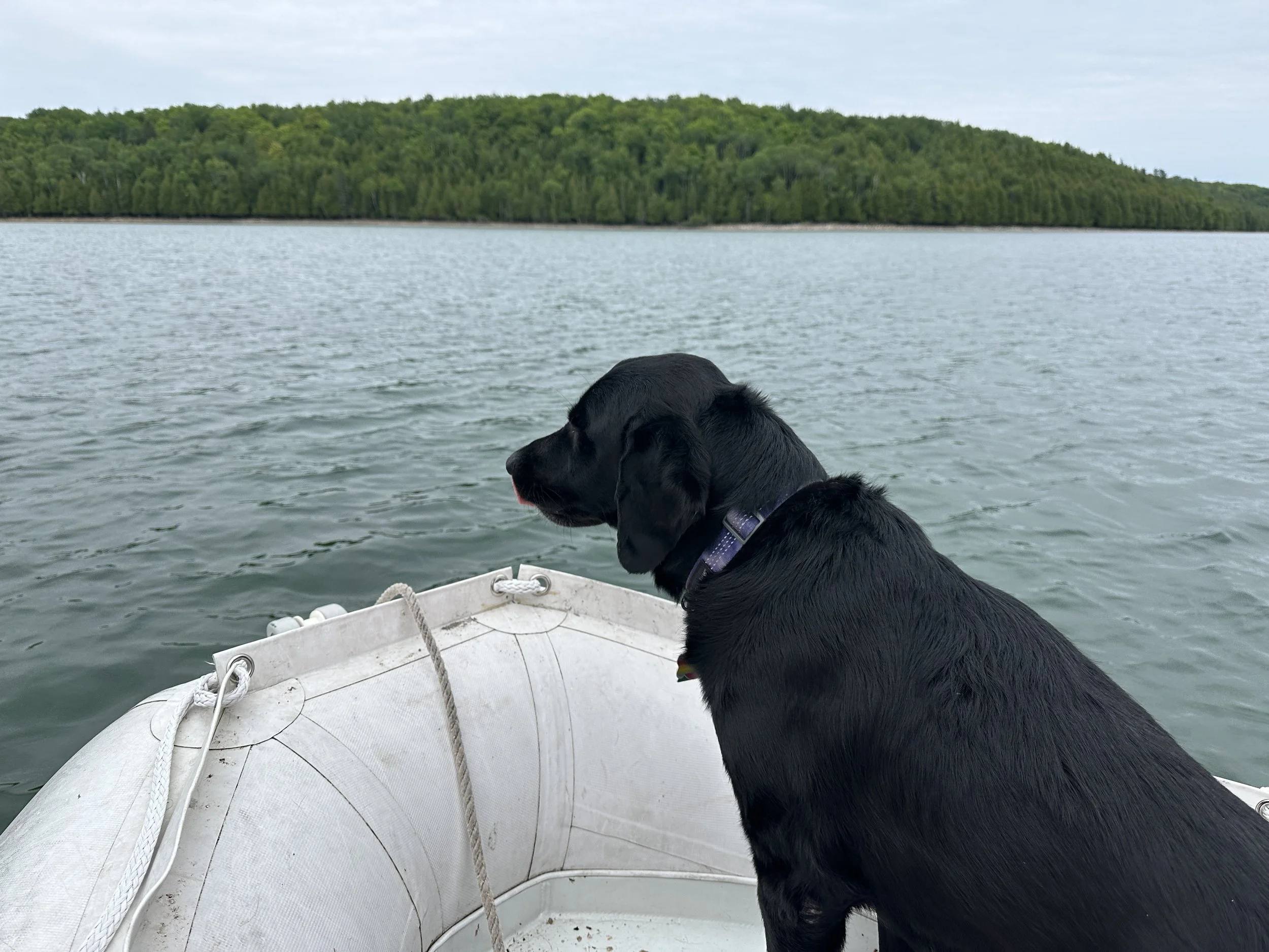 Kona excited for shore leave