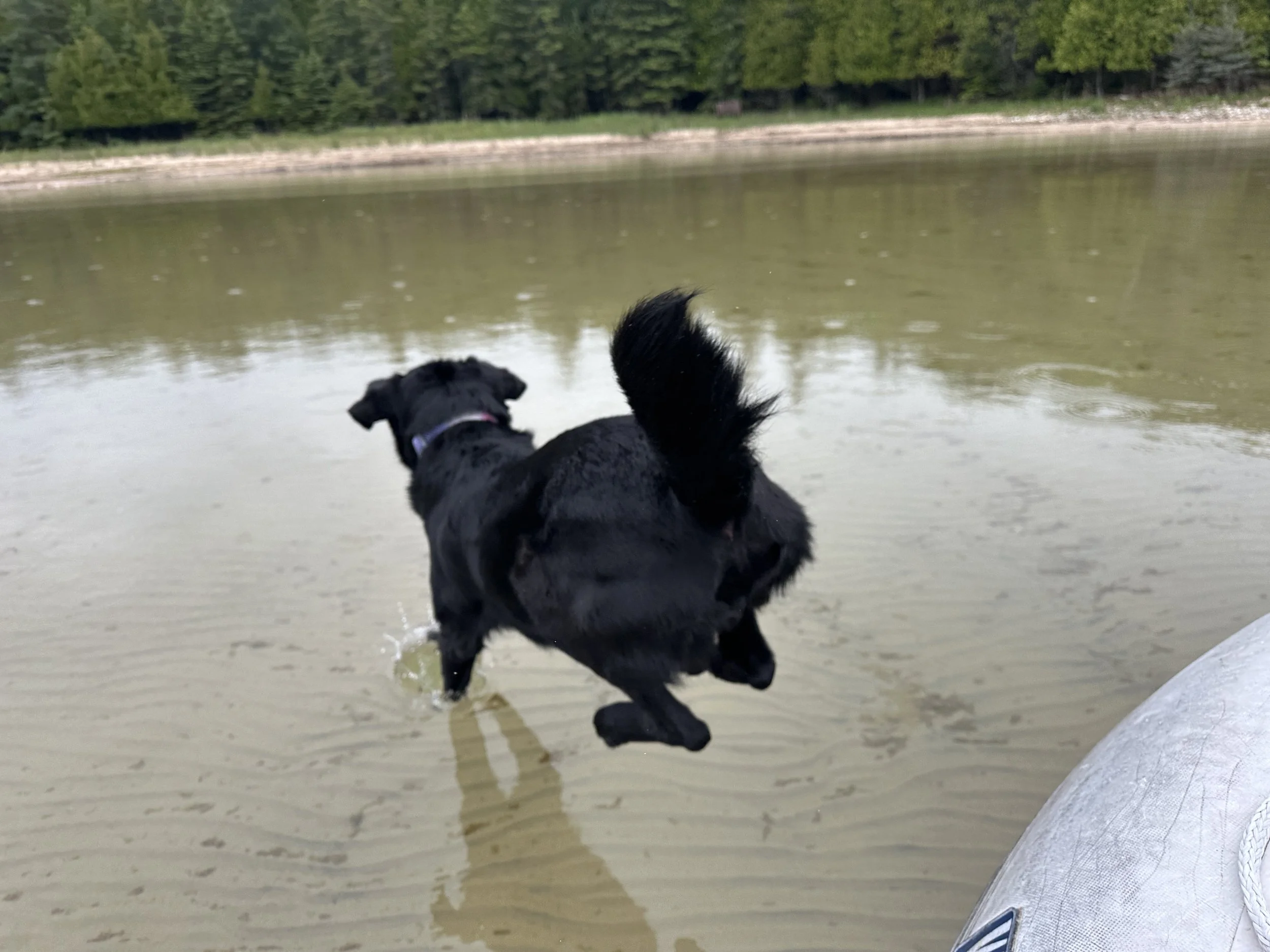 I told her to go ahead and jump as the boat was beached at this point