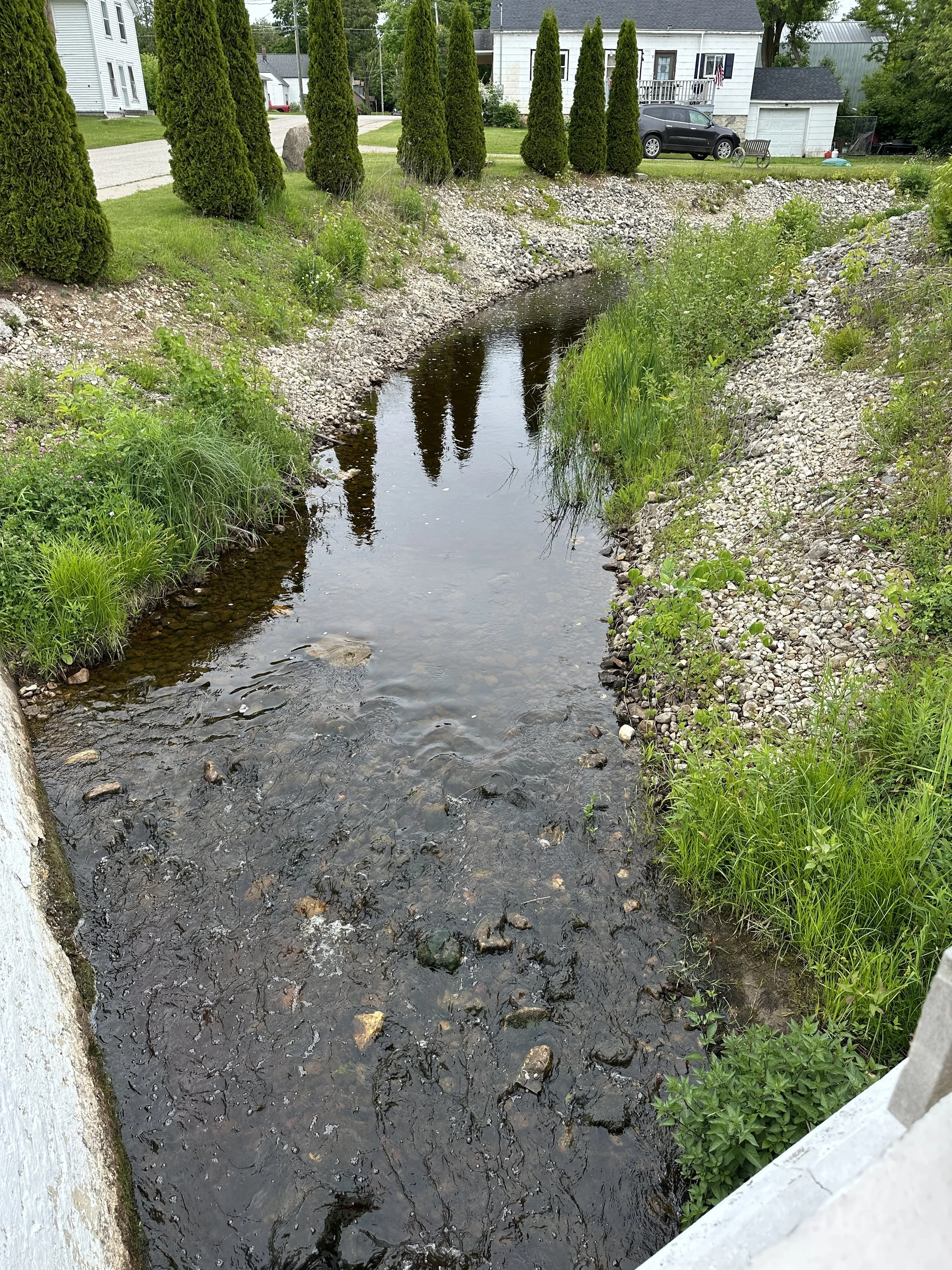 Garden creek after the bridge. Very cute