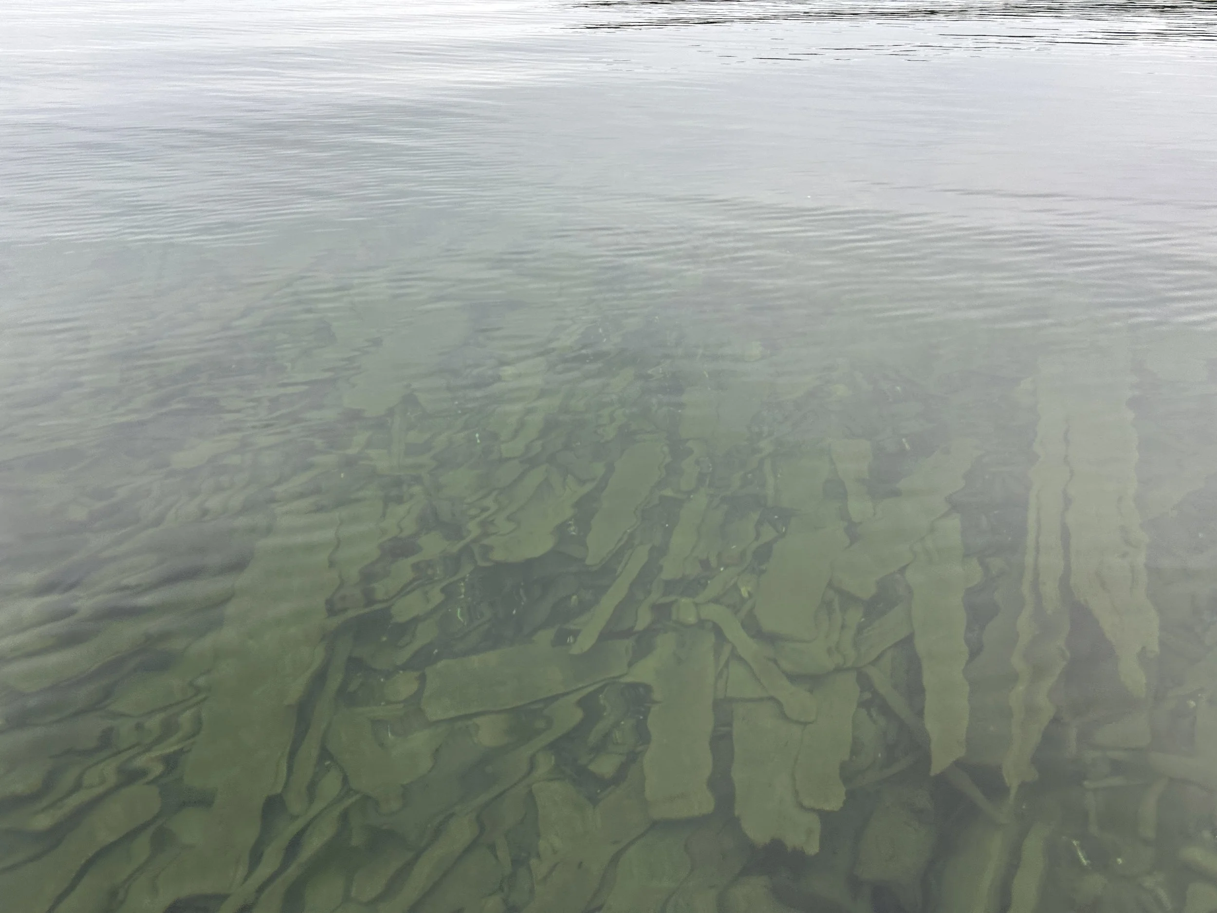 Clear waters reveal the past