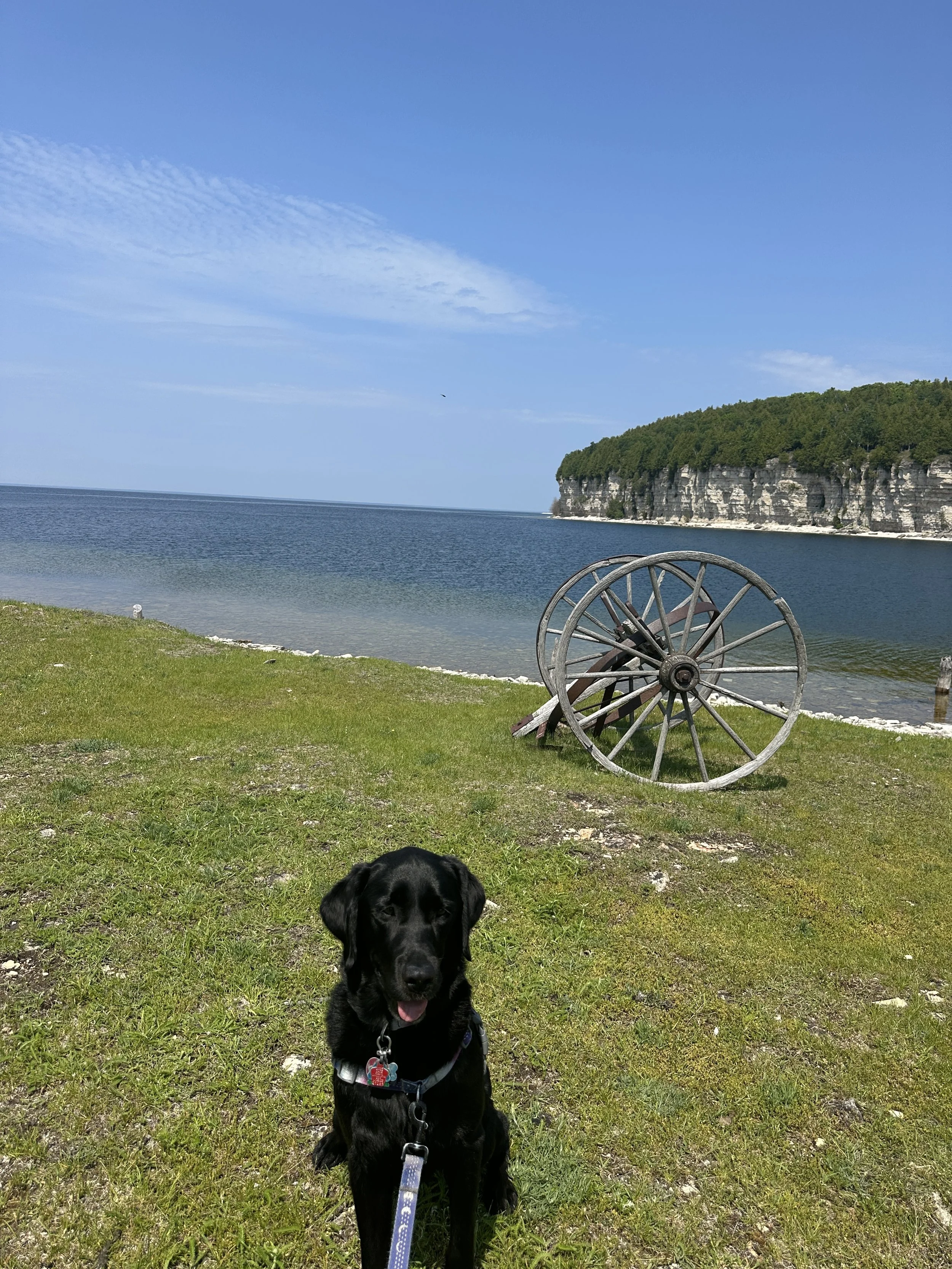 Kona at one of her favorite spots