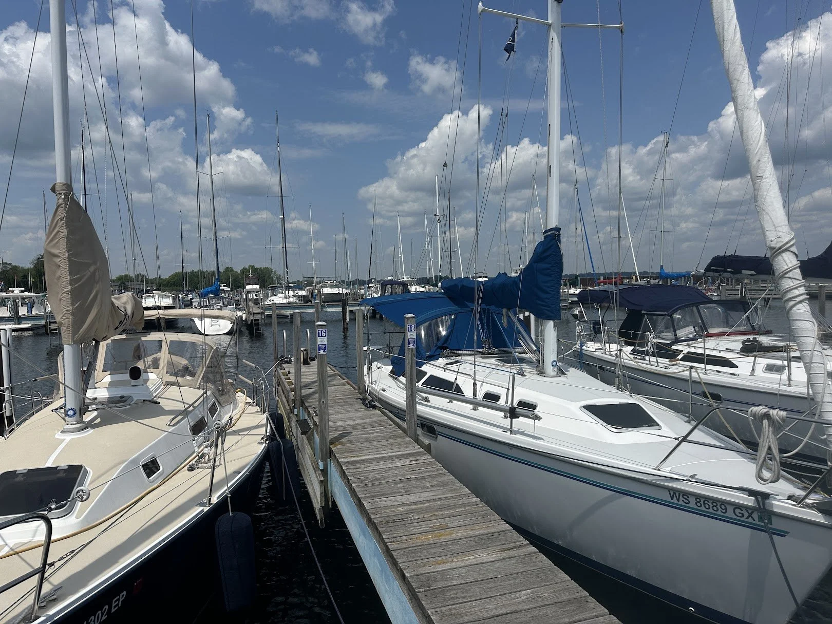 Belefonte in a sea of sailboats