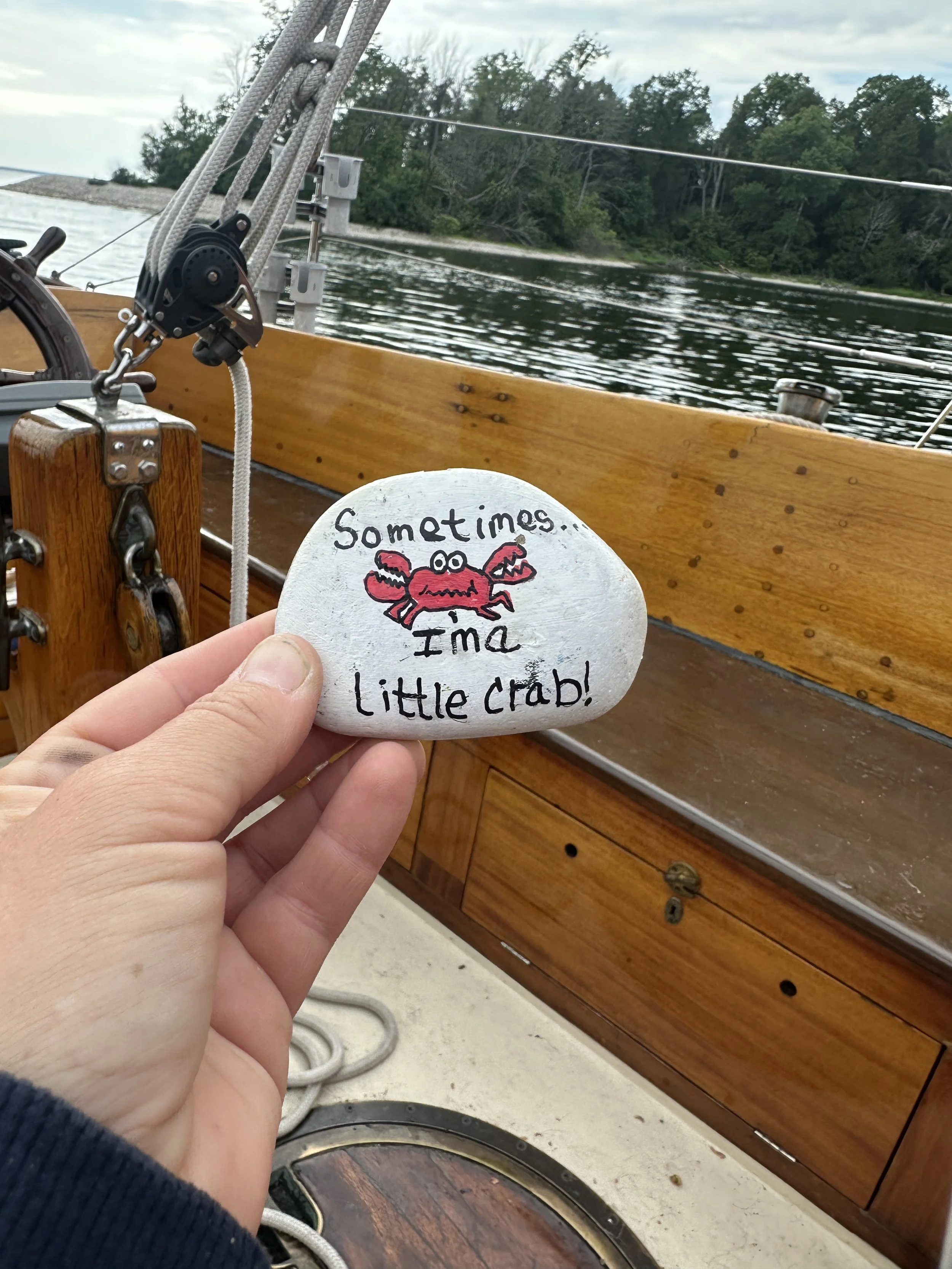 My Beaver Island rock knows me well