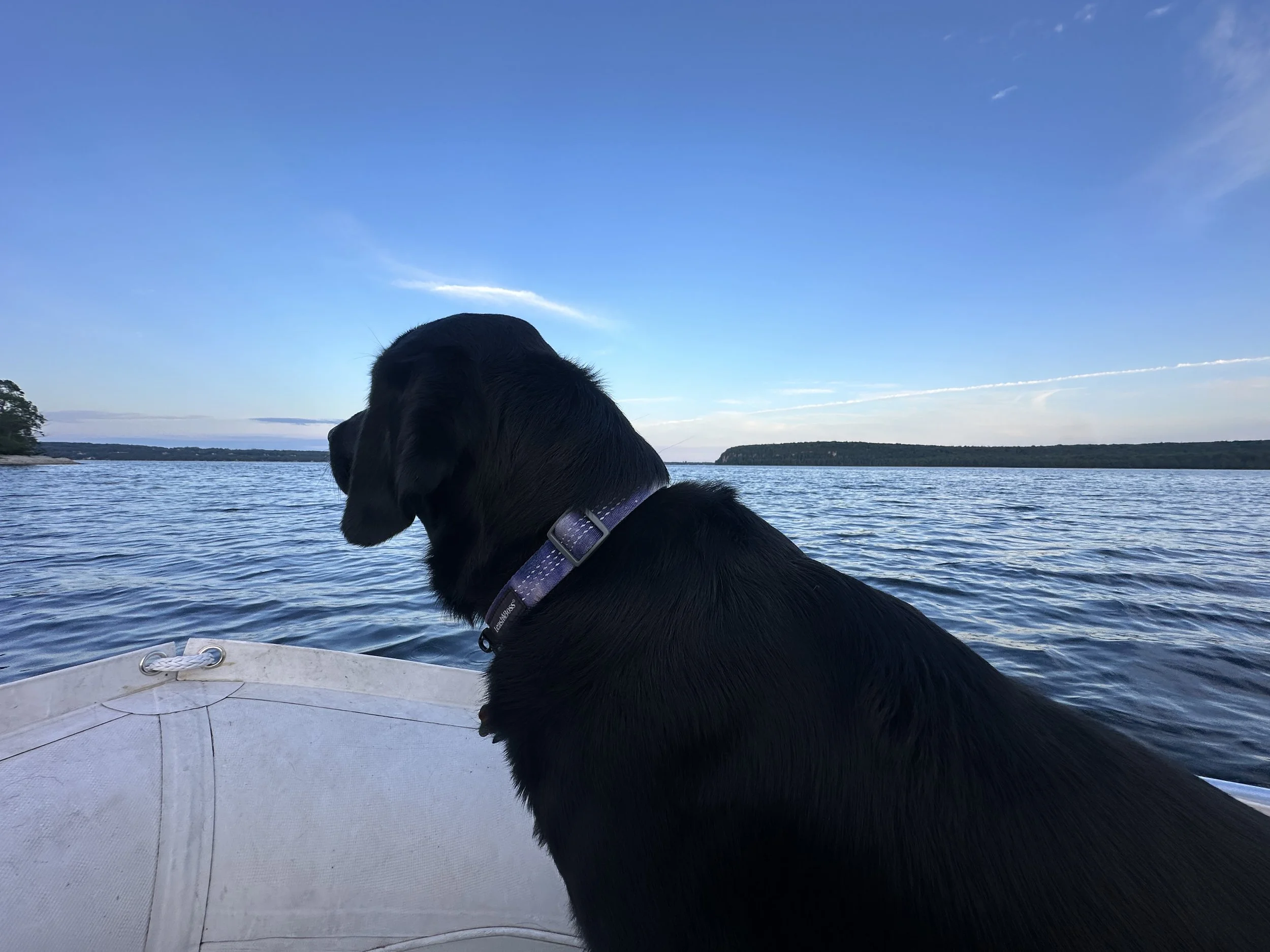 Kona on a boat
