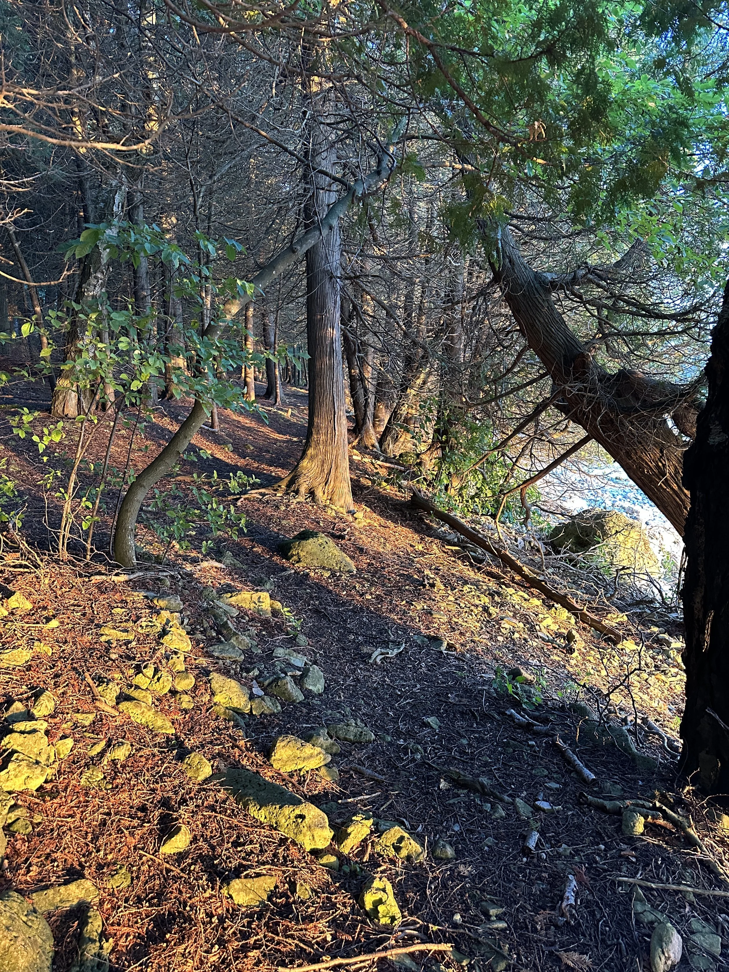 Hike on Horseshoe Island