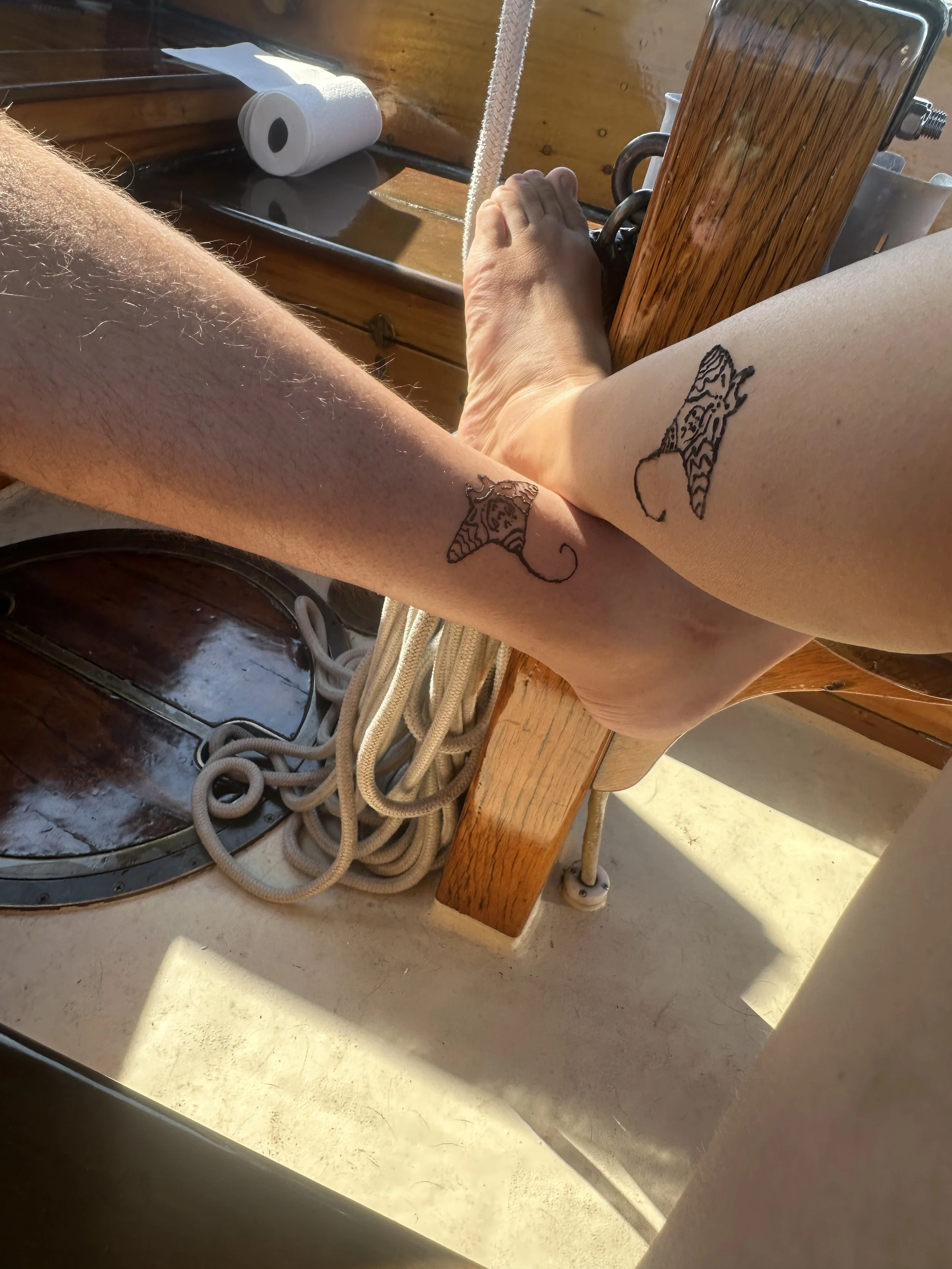 Henna drying
