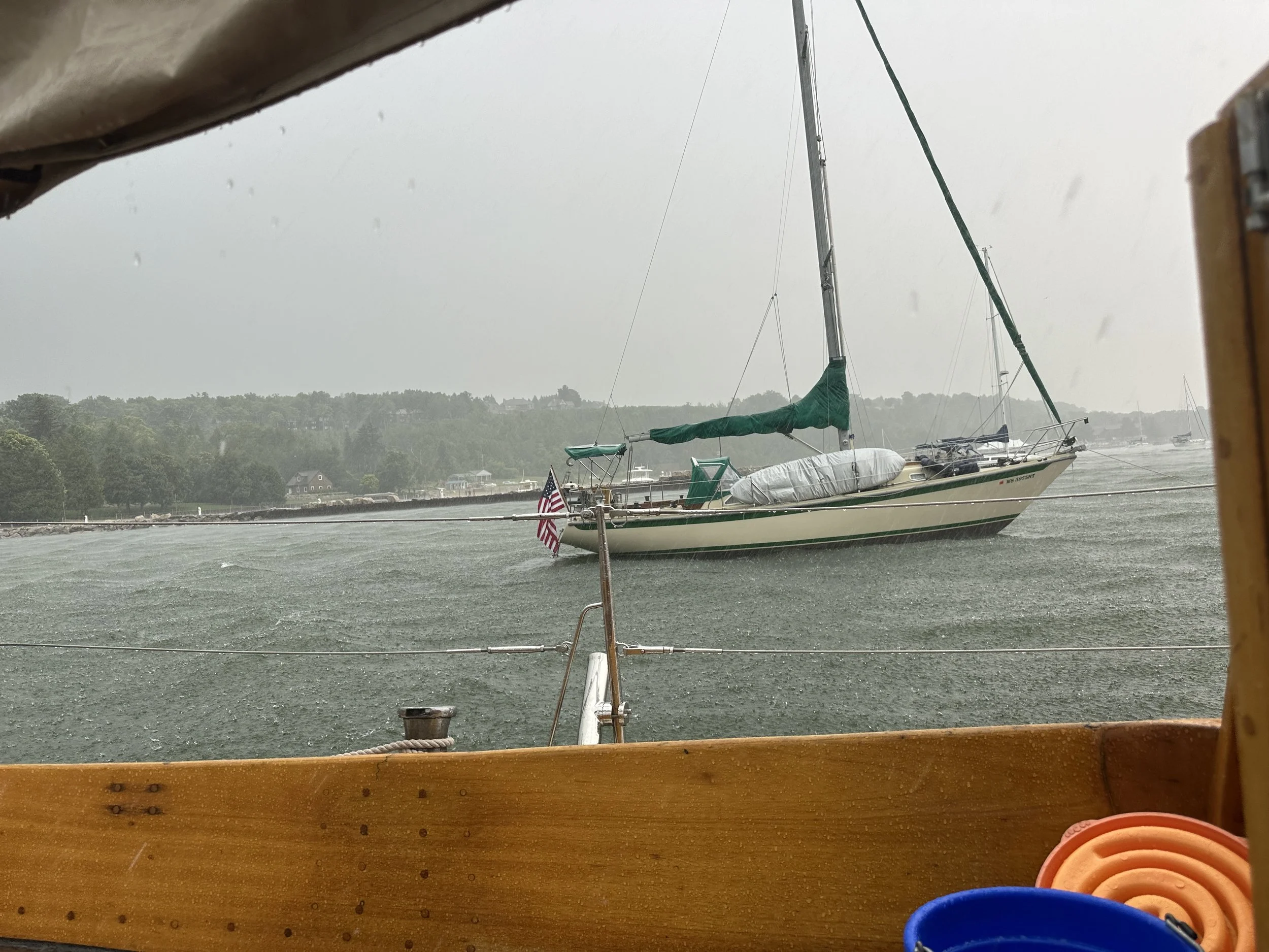 Dreamweaver in the storm