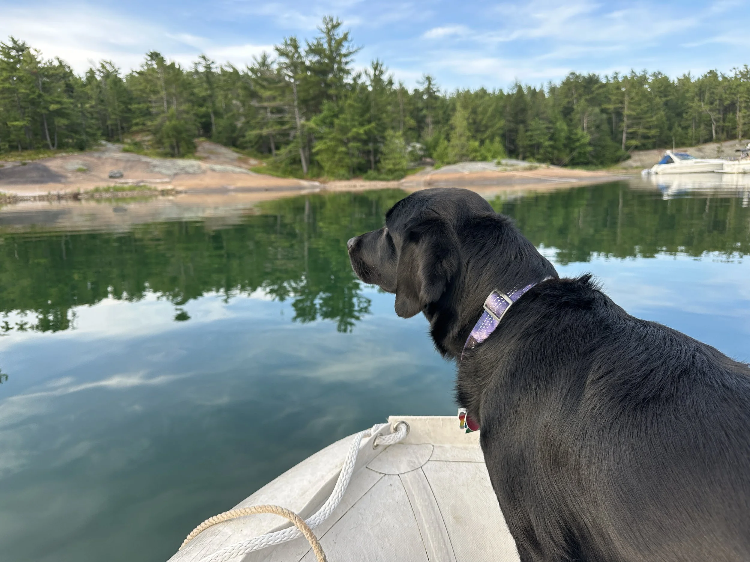 Kona going to shore on her boat never gets old