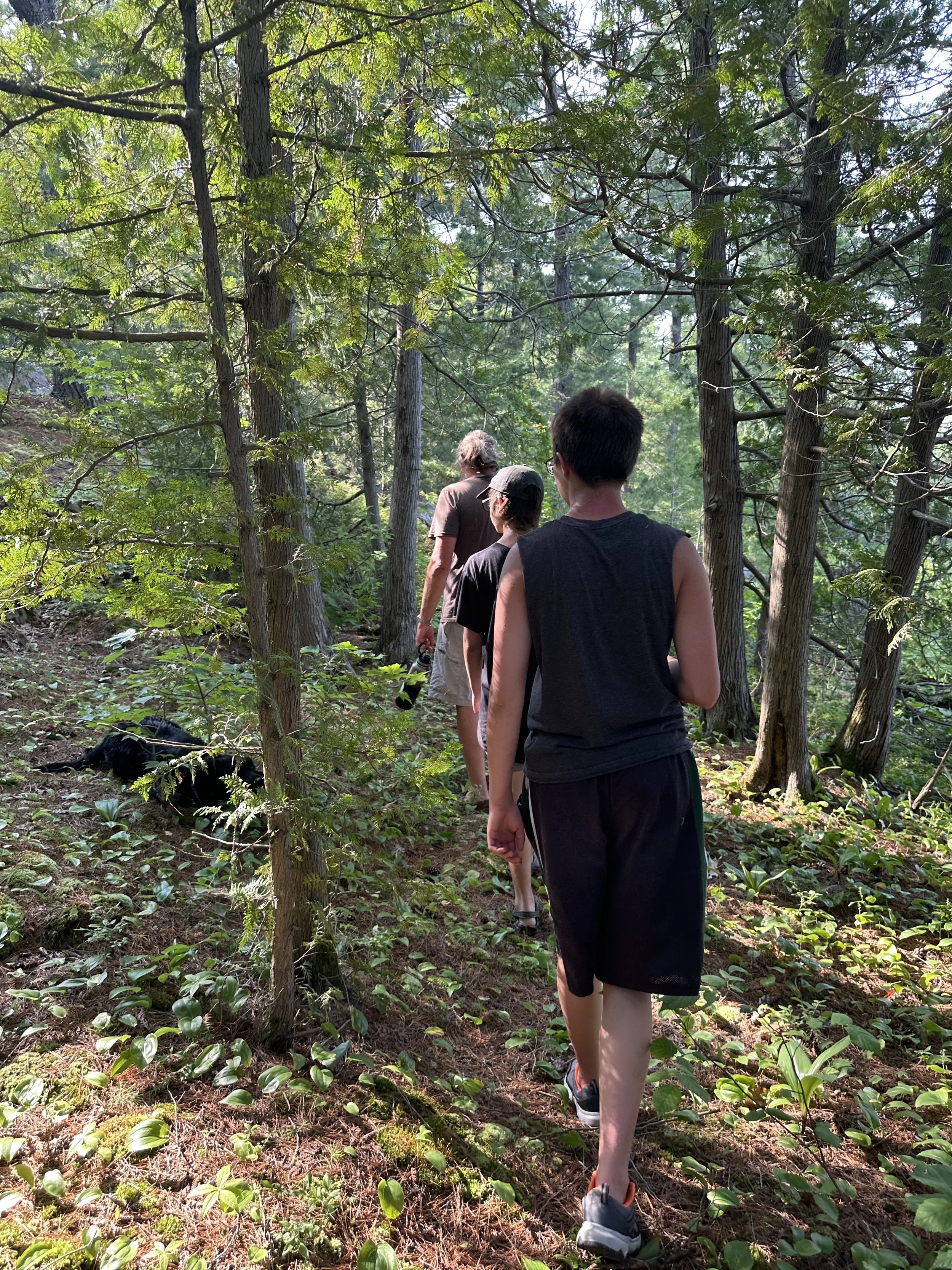 Beginning of our bushwhacking adventure