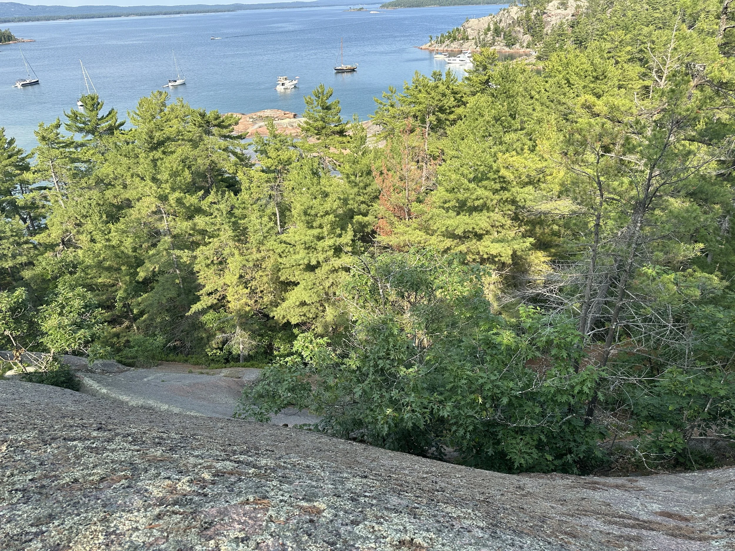 Same view, just looking down!
