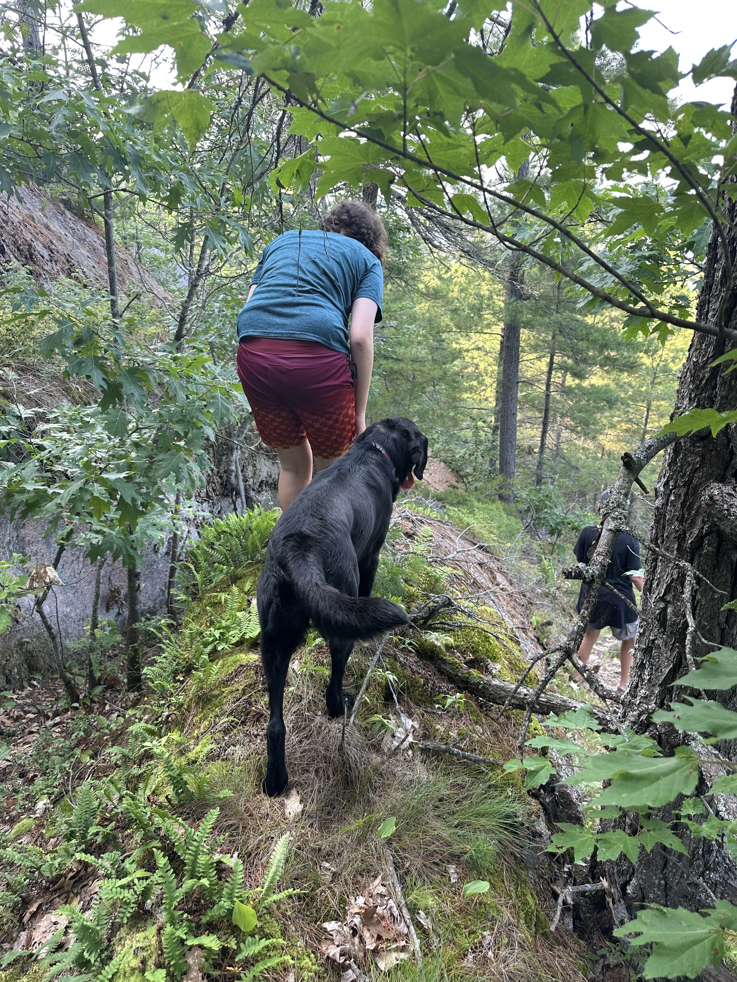 Dani traversing the steep overgrown terrian