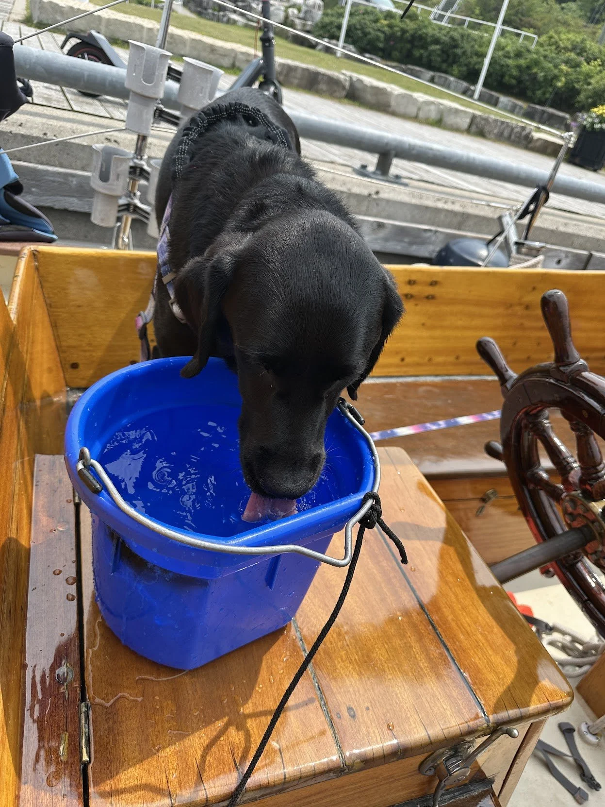 Kona update