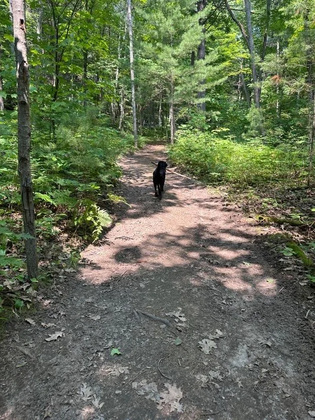 Kona hiking to pool - with stick