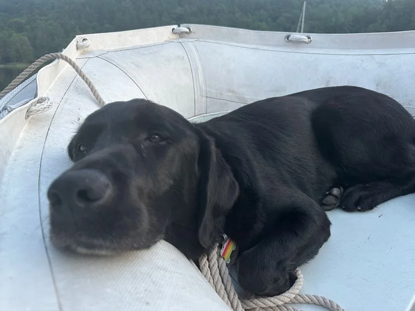 Kona is tuckered out