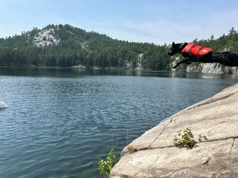 Kona jumping 