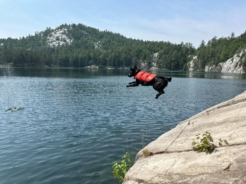 Kona mid air