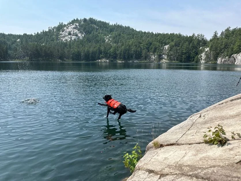 Kona just about to touch the water