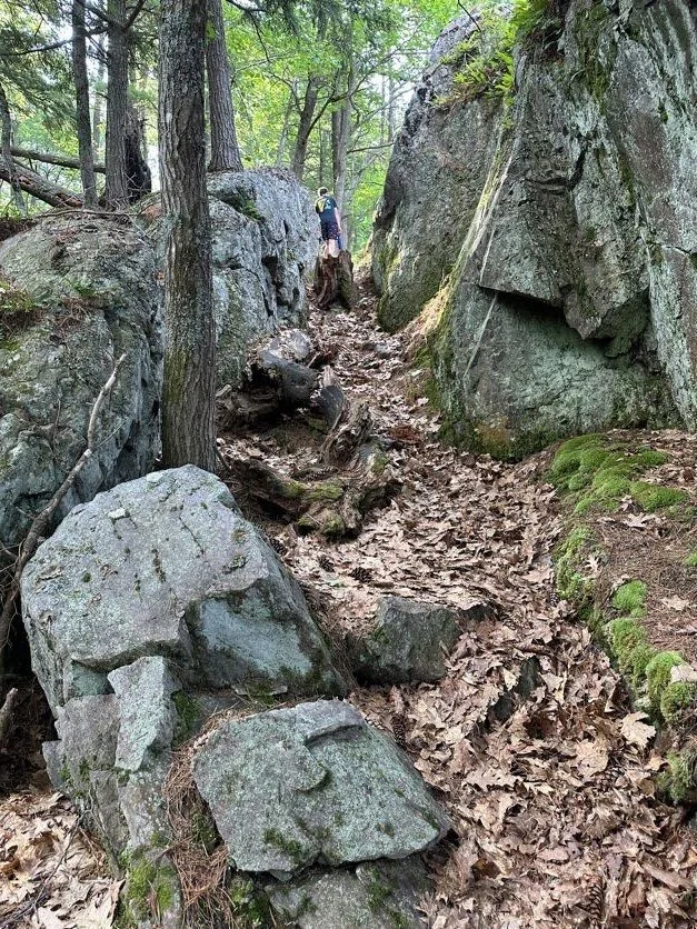 Views from our hike
