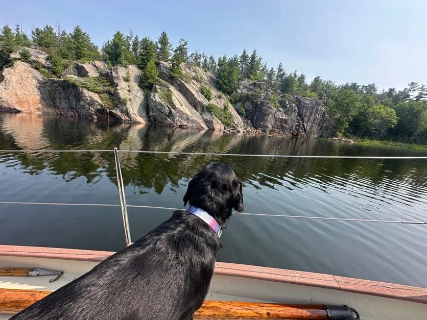 Kona enjoying Collins Inlet