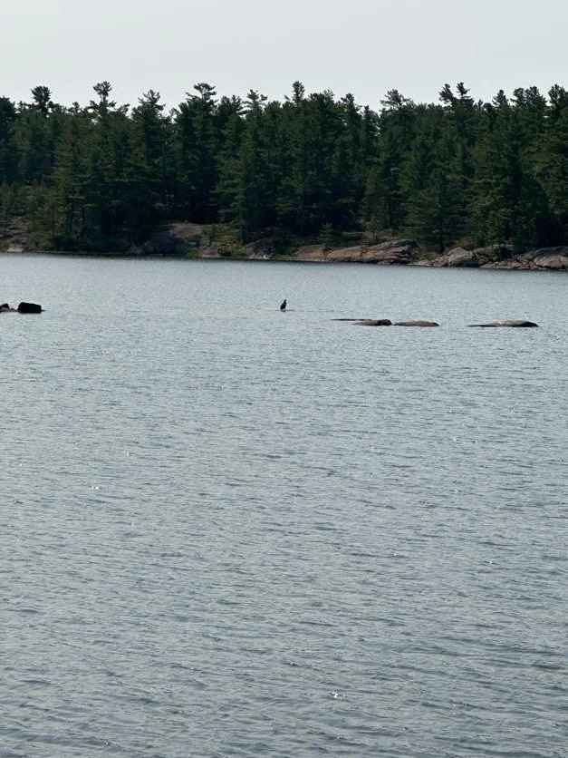 Mill Lake