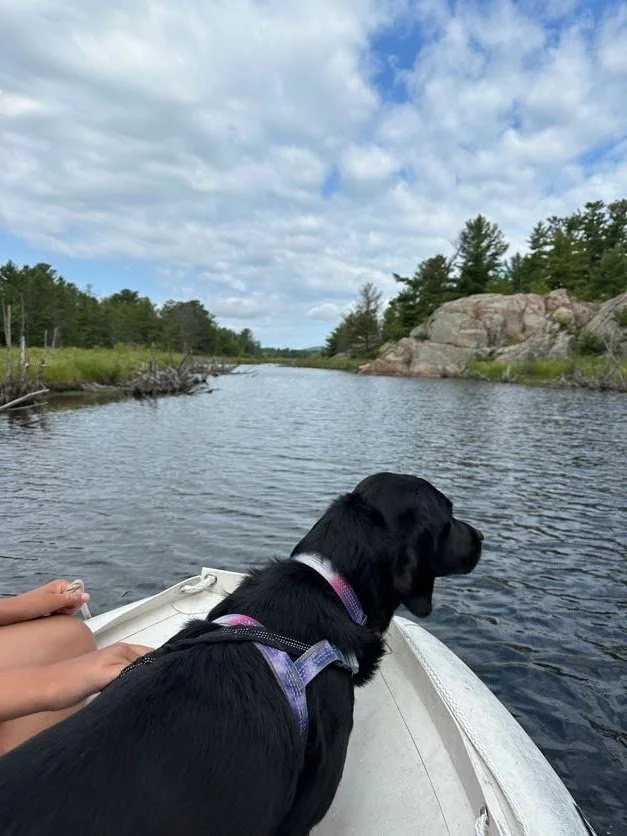 Kona enjoying her dinghy time