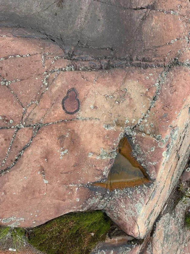 Trail marker on rock
