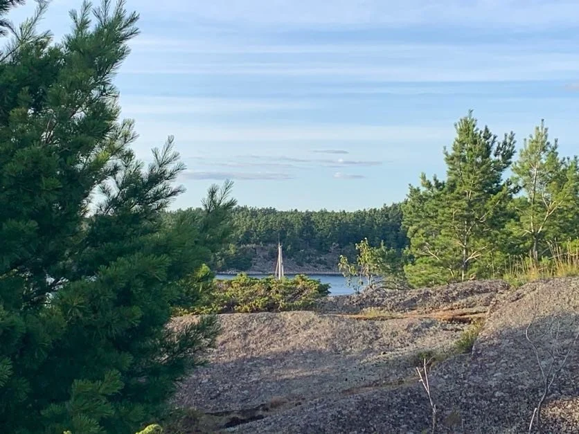 View of our masts from the fire pit area