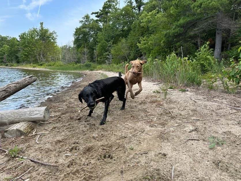 Kona and Holly having a blast